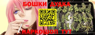 PSILOCYBIN Абакан