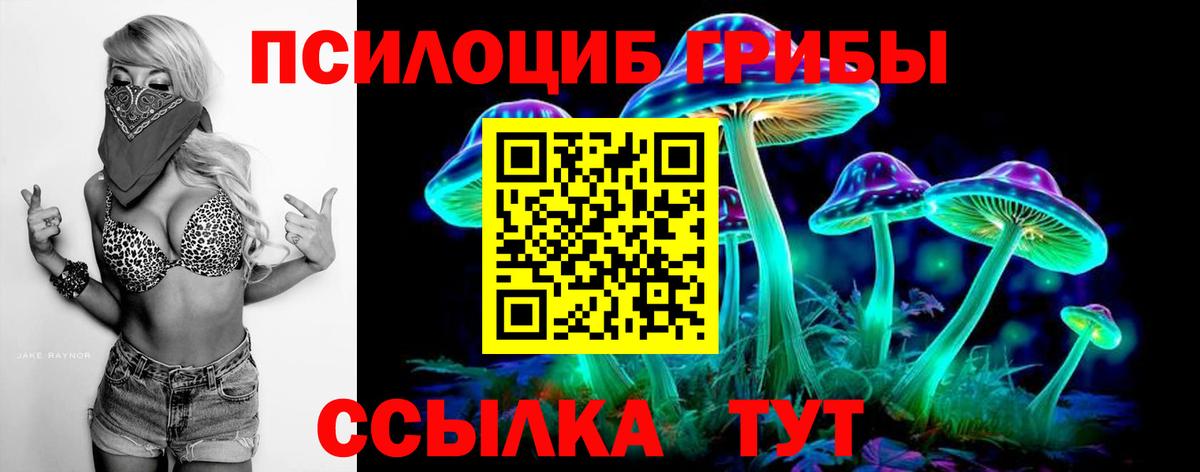 Псилоцибиновые грибы мицелий Анапа