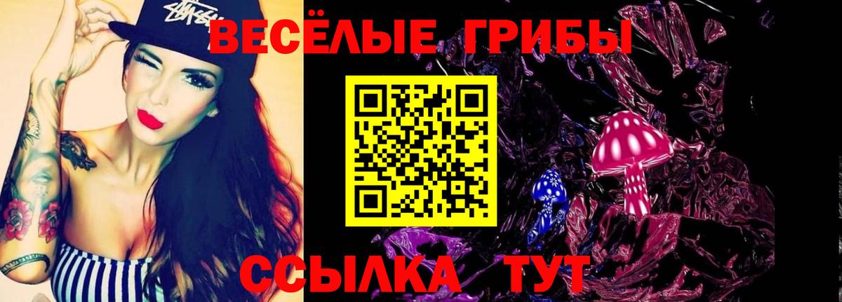Анапа  купить наркотик  Галлюциногенные грибы Magic Shrooms  Вход с VPN  Псилоцибиновые грибы Psilocybe 